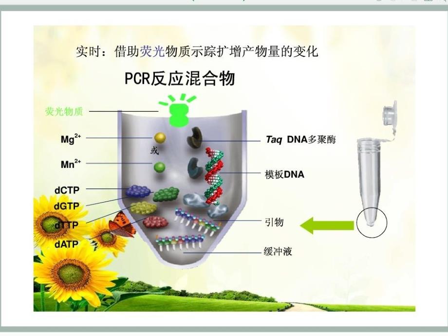 常见荧光定量PCR仪汇总_第4页