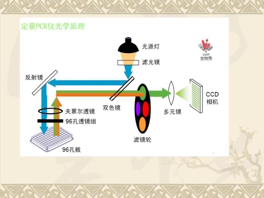 常见荧光定量PCR仪汇总_第5页