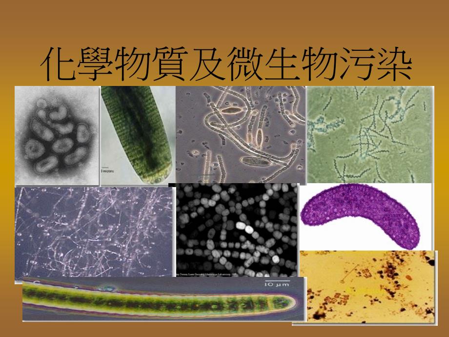 化学物及微物污染_第1页