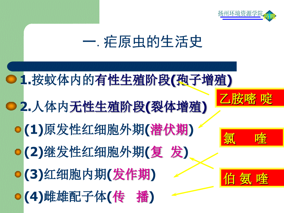 四十三章节抗寄生虫药_第4页