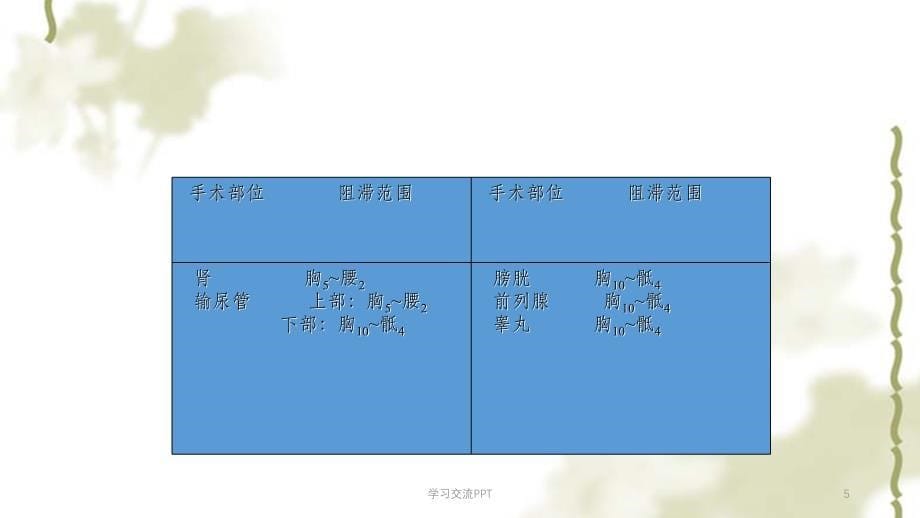 泌尿外科手术的麻醉ppt课件_第5页