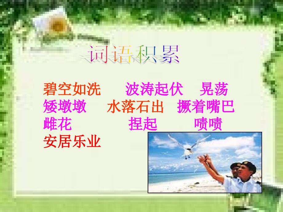 彩色的翅膀课件.ppt_第2页