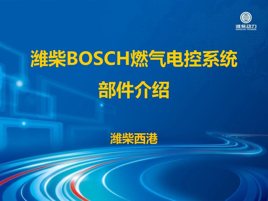 BOSCH燃气电控系统部件介绍_第1页