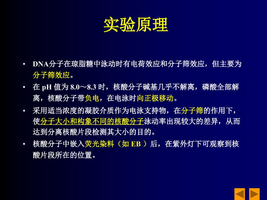 DNA琼脂糖凝胶电泳分析课件.ppt_第3页