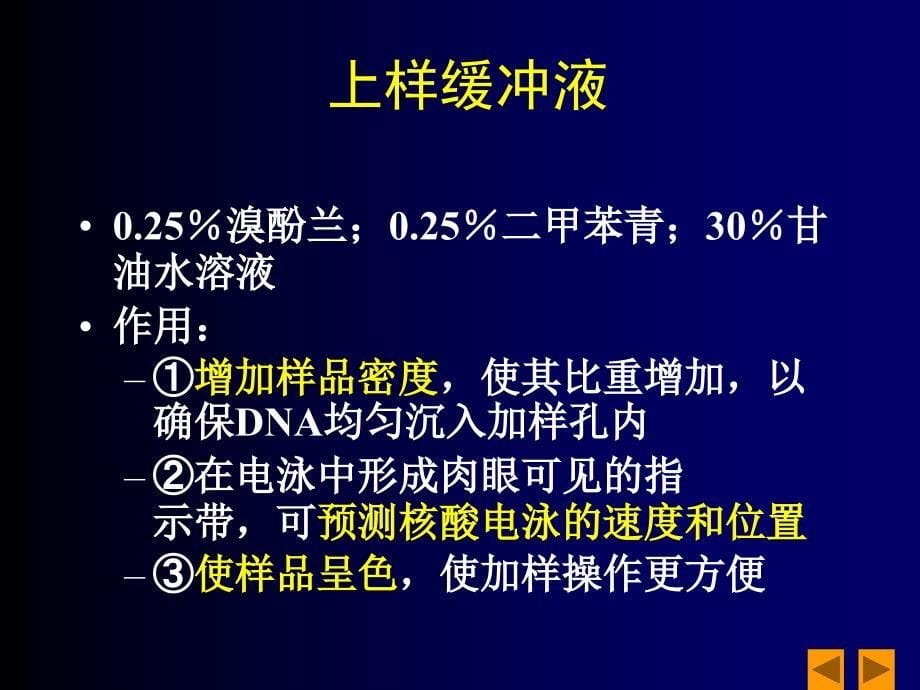 DNA琼脂糖凝胶电泳分析课件.ppt_第5页