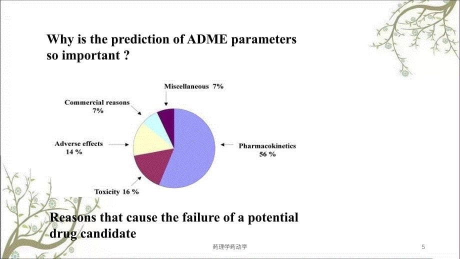 药理学药动学课件_第5页