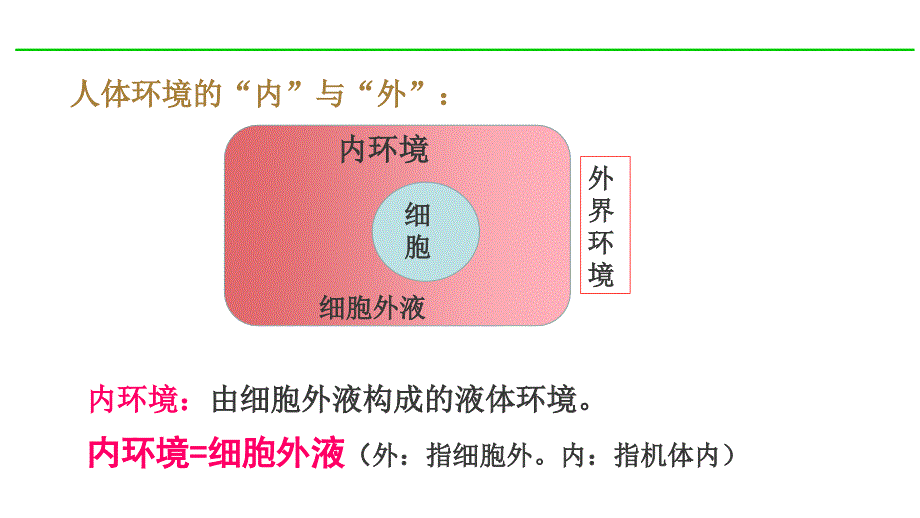 【高中生物】细胞生活的环境课件+高二上学期生物人教版选择性必修1_第4页