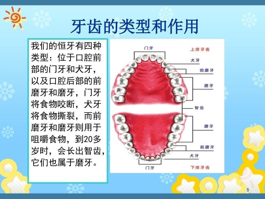 小学生刷牙和洗手正确步骤ppt课件_第5页