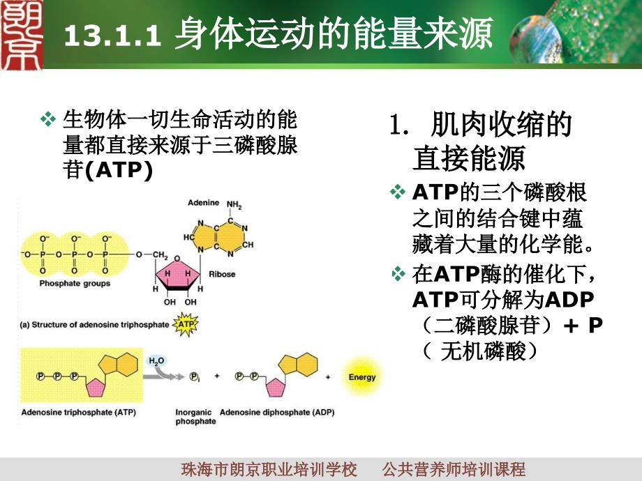 《运动与营养》PPT课件_第4页