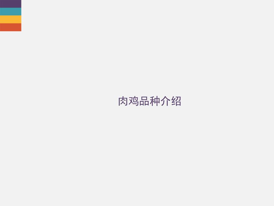 肉鸡品种介绍PPT课件_第1页