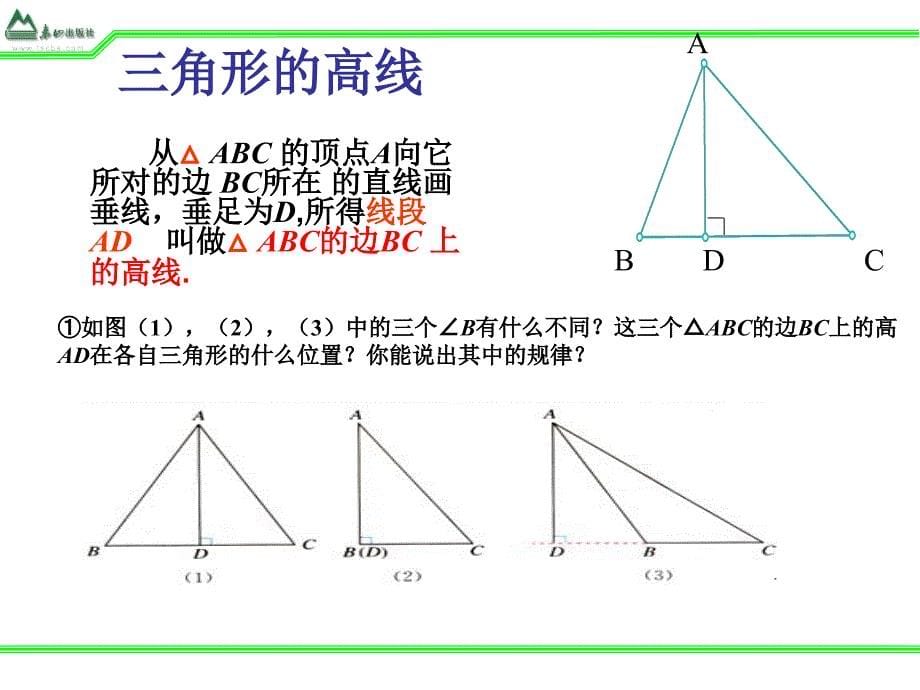 1513三角形的重要线段_第5页