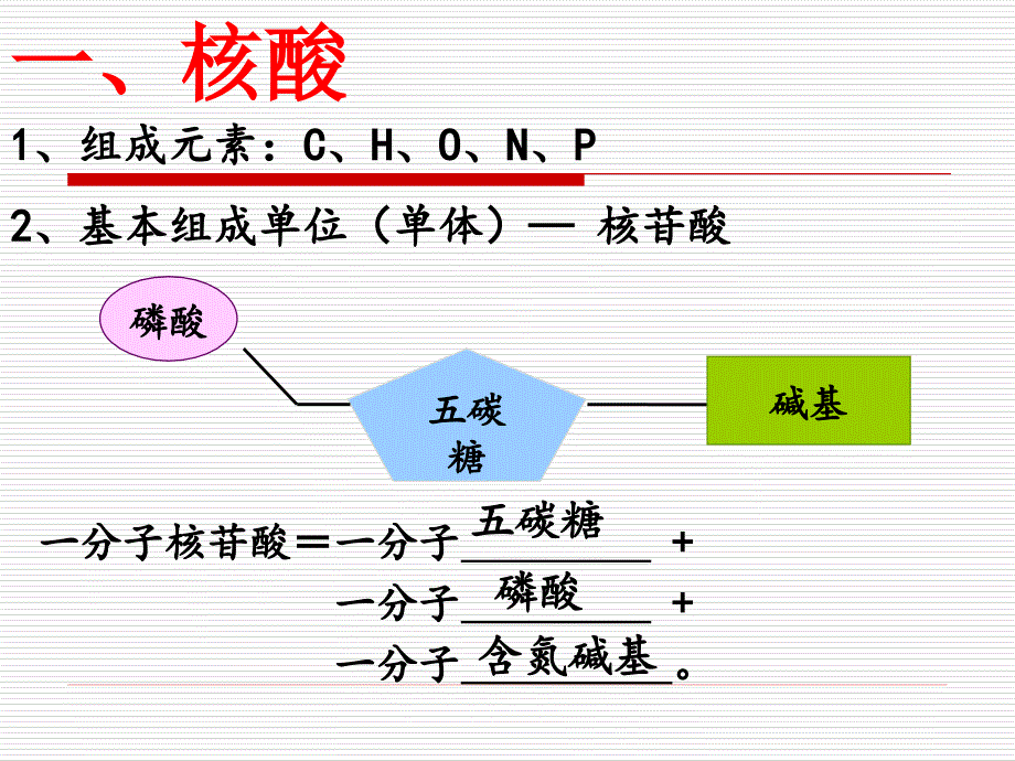 高考生物一轮复习-第4讲核酸、糖类和脂质.ppt_第3页