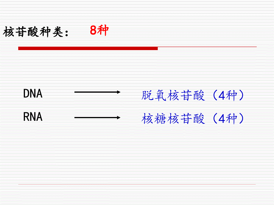 高考生物一轮复习-第4讲核酸、糖类和脂质.ppt_第4页