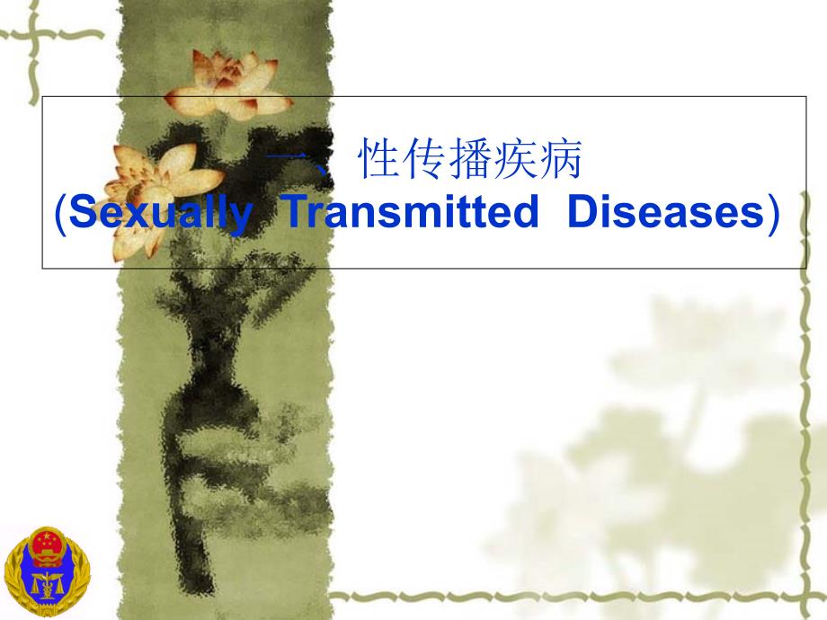 一传播疾病SexuallyTransmittedDiseases_第1页