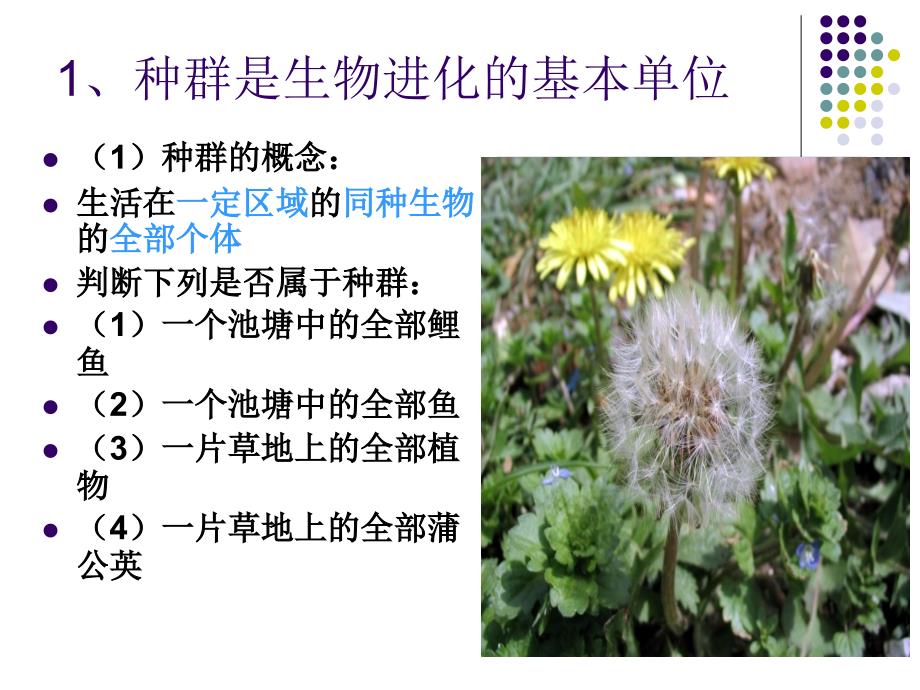 最新高中生物精品教学课件现代生物进化理论的主要内容1人教版必修2_第4页