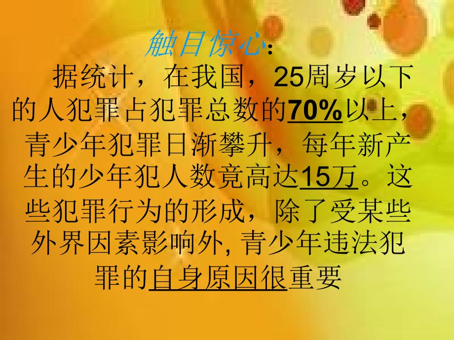 遵纪守法主题班会(共35张)课件_第4页