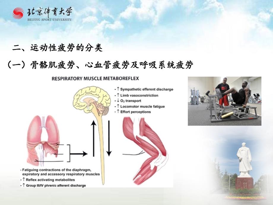 运动性疲劳课件_第4页