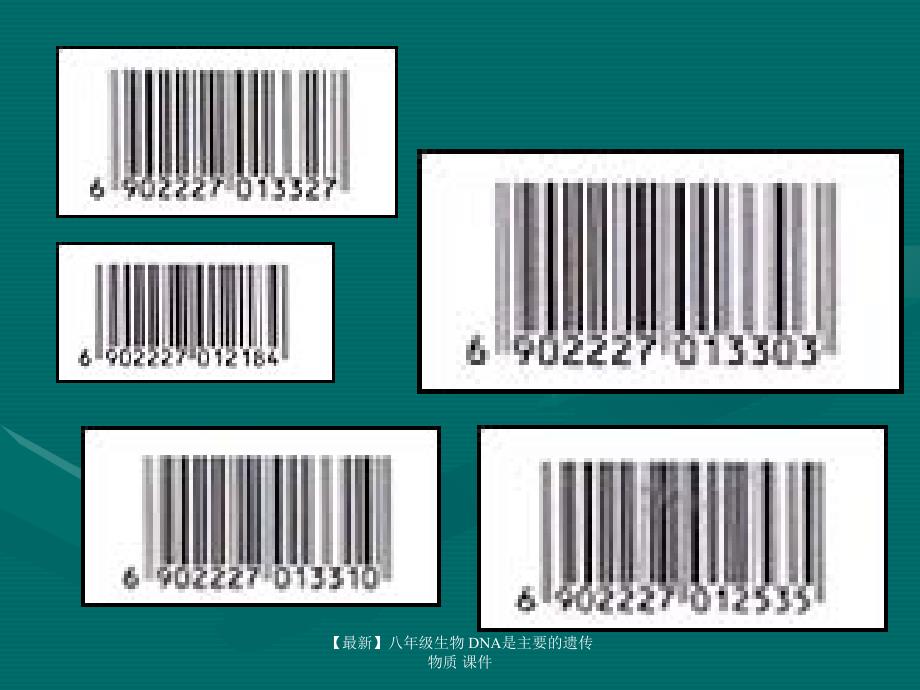 最新八年级生物DNA是主要的遗传物质课件_第4页