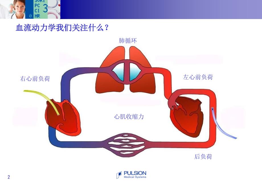 PiCCO基本原理与参数解读课件_第2页