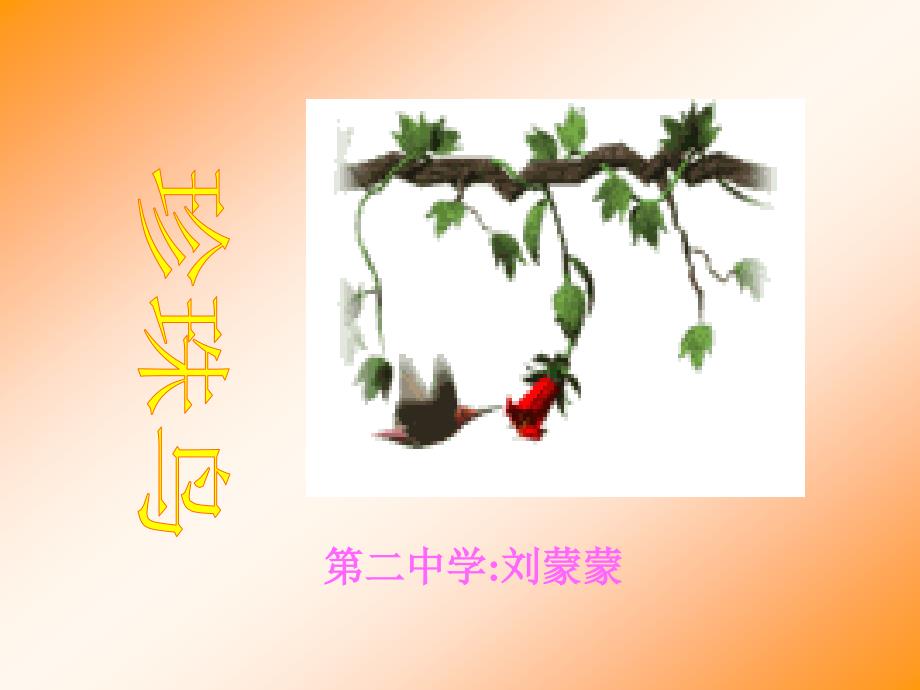 《珍珠鸟》课件_第1页