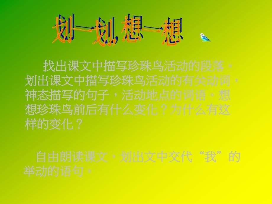 《珍珠鸟》课件_第5页