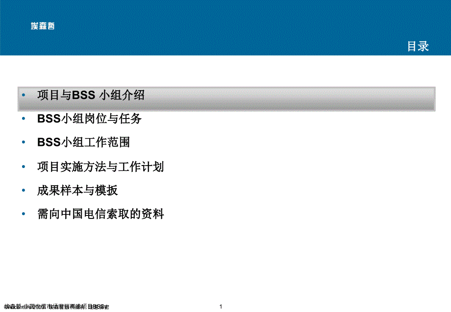 埃森哲-中国电信市场营销再造项目BSSv课件_第2页