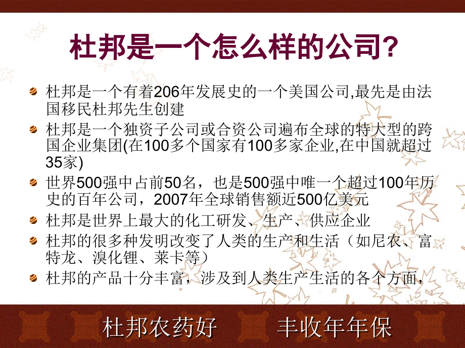 杜邦的主要产品_第2页