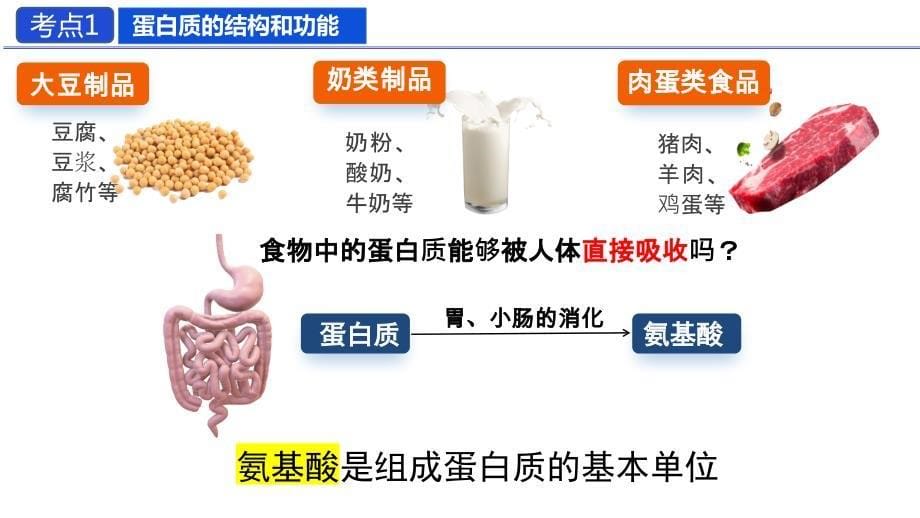 【课件】高三生物一轮复习课件第2讲+组成细胞的分子+第2课时+蛋白质与核酸_第5页