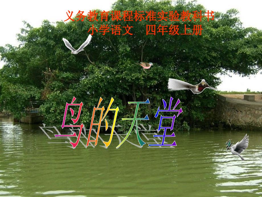 四年级语文上册《鸟的天堂》_第1页