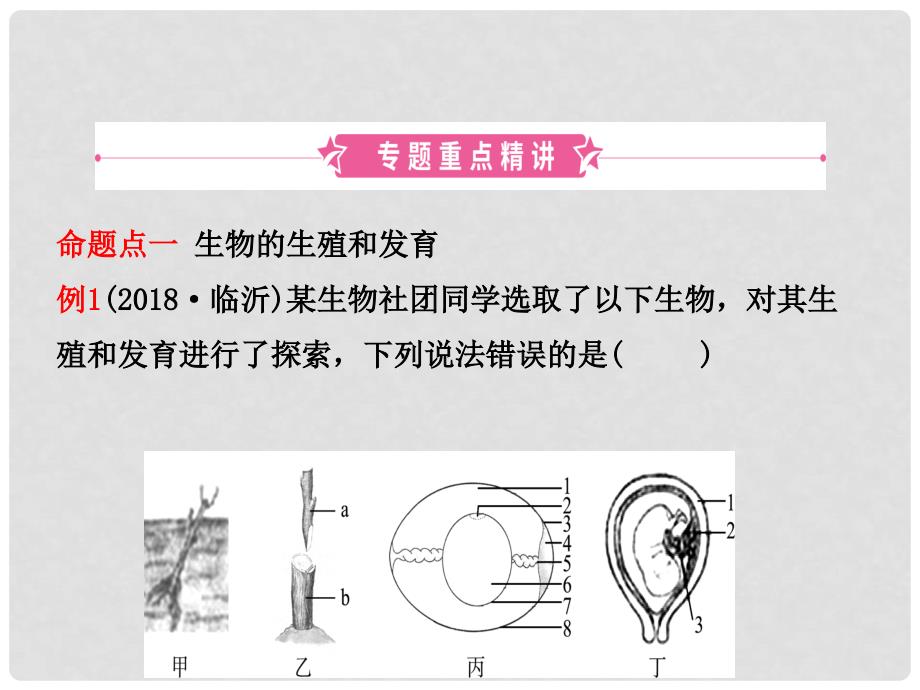 中考生物 专题八复习课件_第2页