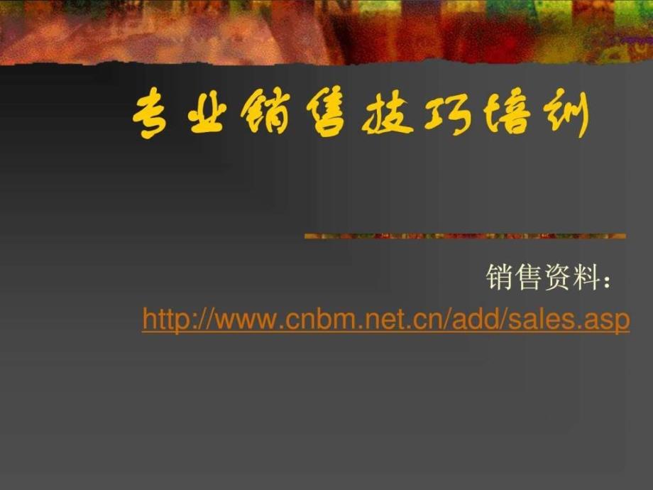 专业销售技巧培训.ppt_第1页