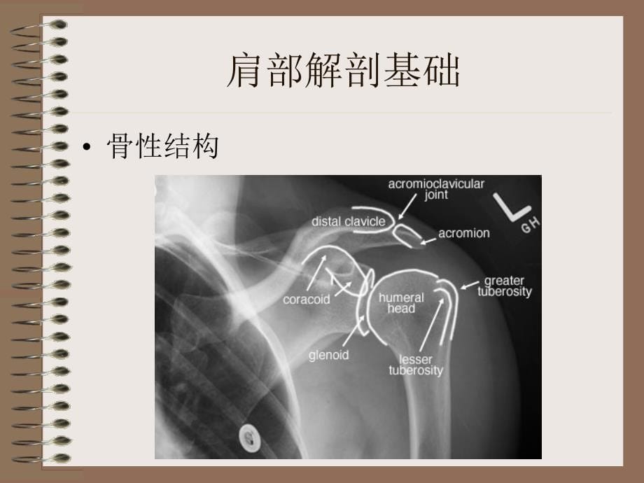 肩周炎的治疗_第5页