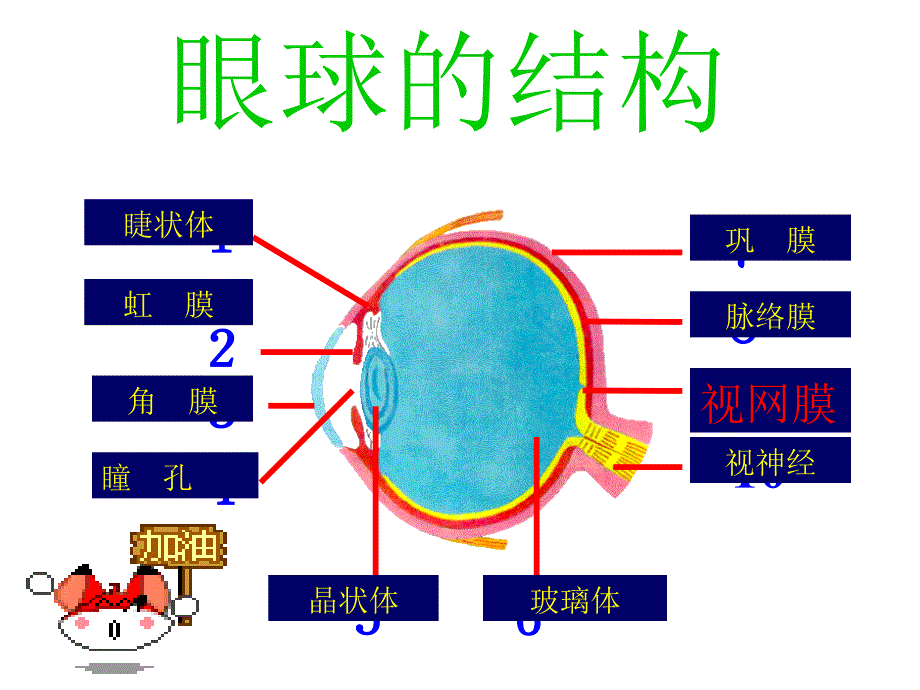 《保护视力》健康教育主题ppt课件_第2页