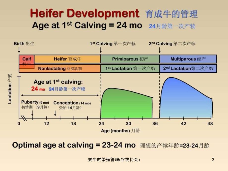 奶牛的繁殖管理谷物协会课件_第3页