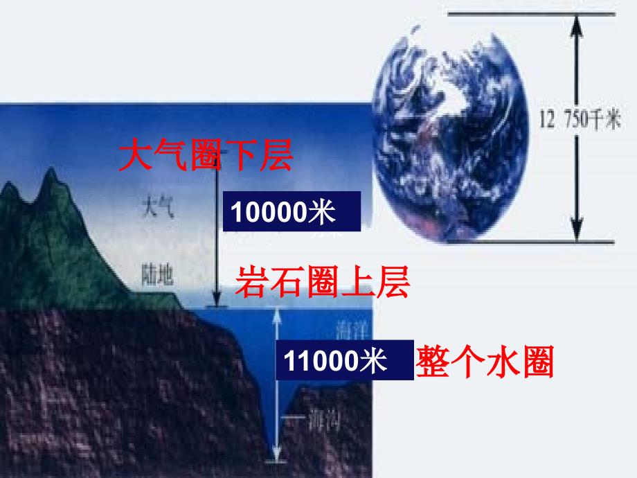 七年级生物上册1.1.1形形色色的生物ppt课件_第2页