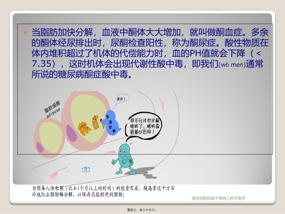 糖尿病酮症酸中毒病人教学查房课件_第5页