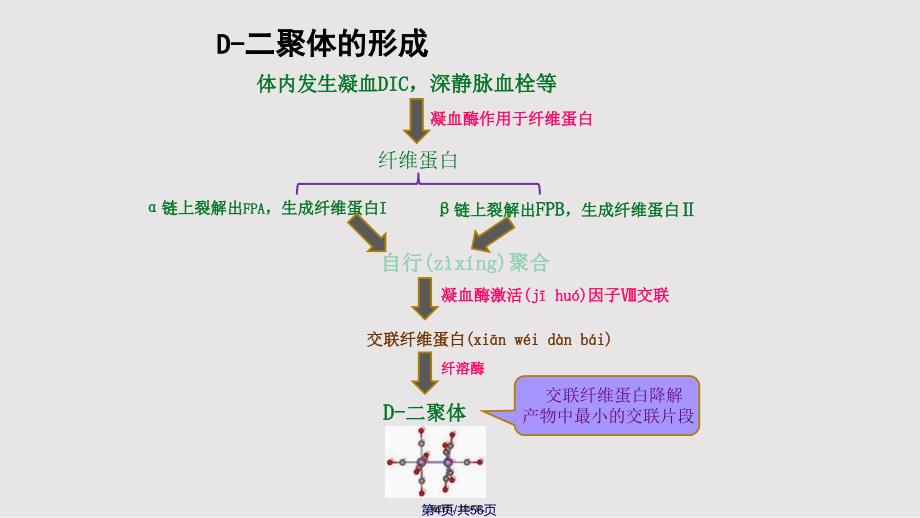 D聚体及CRP介绍与临床应用实用教案_第4页