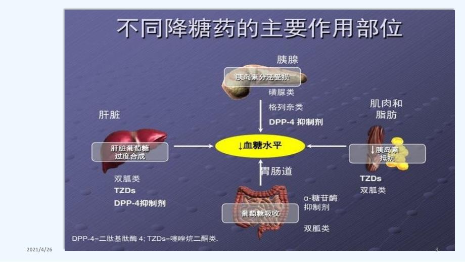 糖尿病口服降糖药PPT_第3页