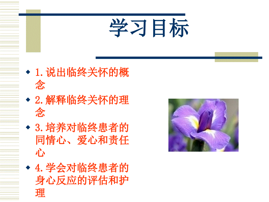 临终关怀及_护理_第2页