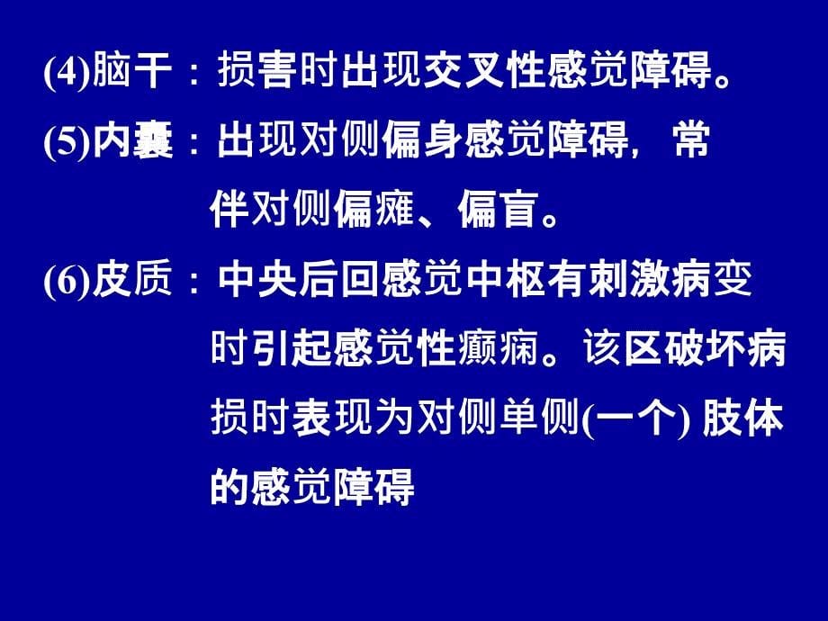 最新7神经系统课件精选PPT文档_第5页