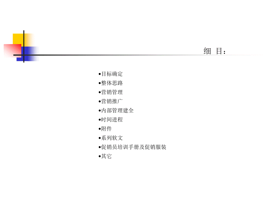 新一代宁城老窖上市执行手册_第2页