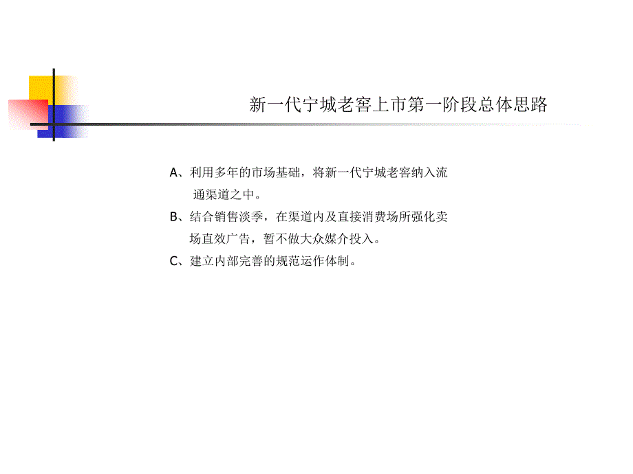 新一代宁城老窖上市执行手册_第4页