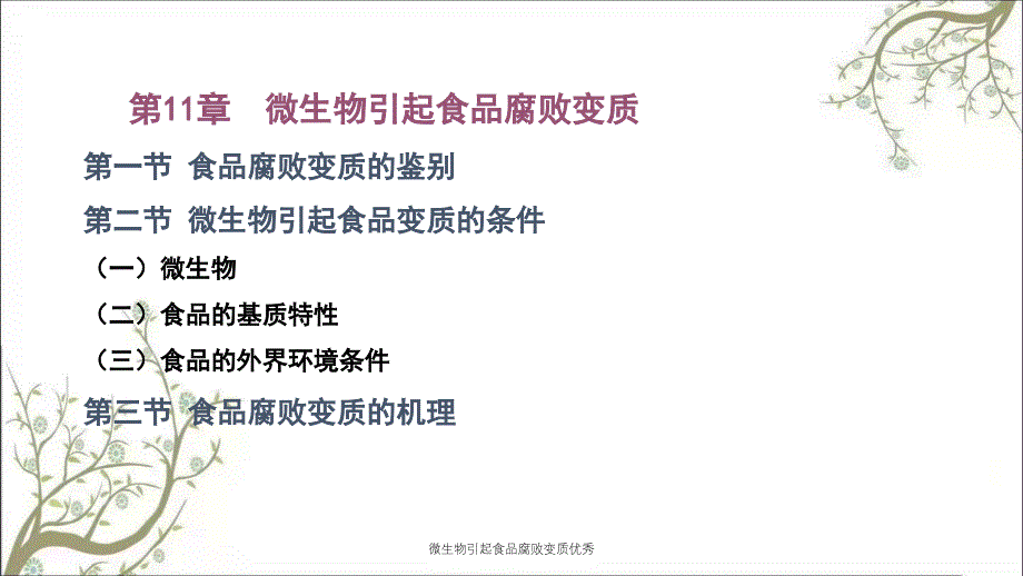 微生物引起食品腐败变质优秀_第1页