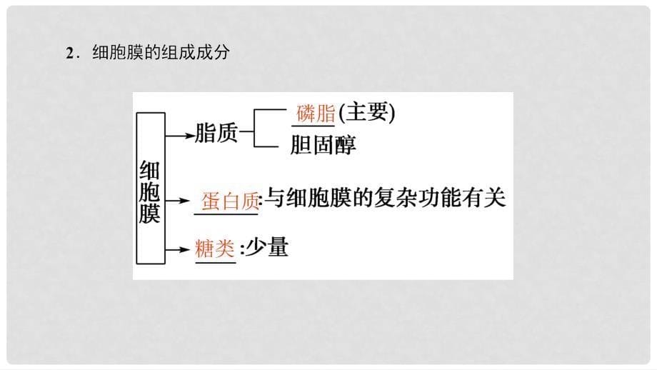 高考生物一轮复习 第2单元 细胞的结构和功能 第2讲 细胞膜和细胞核课件 苏教版_第5页