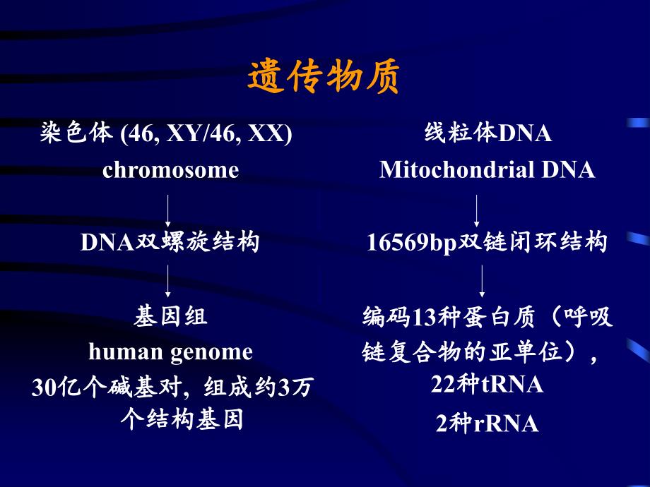 遗传性疾病GeneticDiseases文档资料_第3页