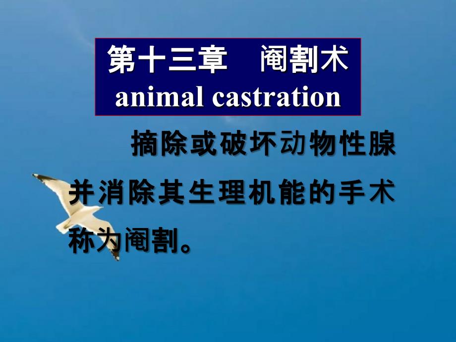 第十三章阉割术ppt课件_第1页