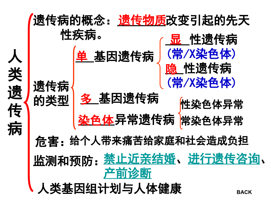 人类遗传病(高三复习课件)_第2页