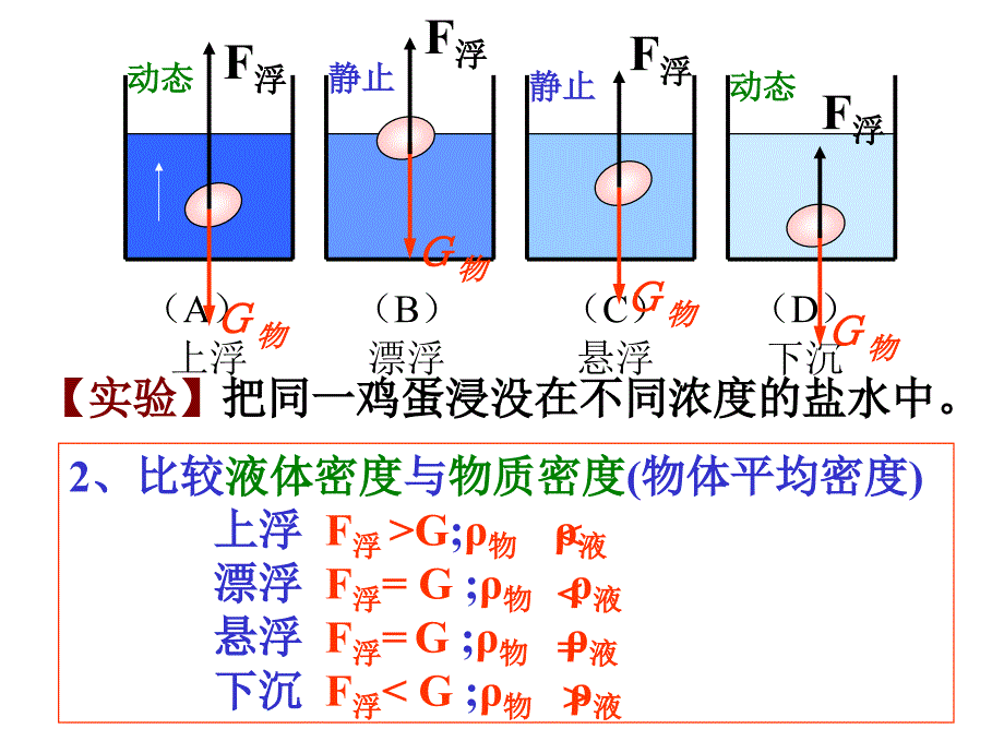 水的浮力第二课时_第3页