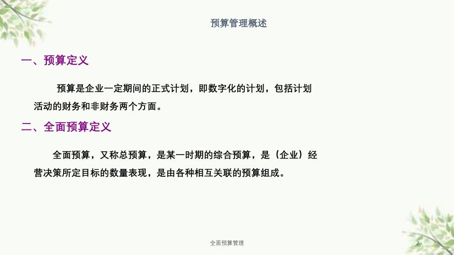 全面预算管理课件_第2页