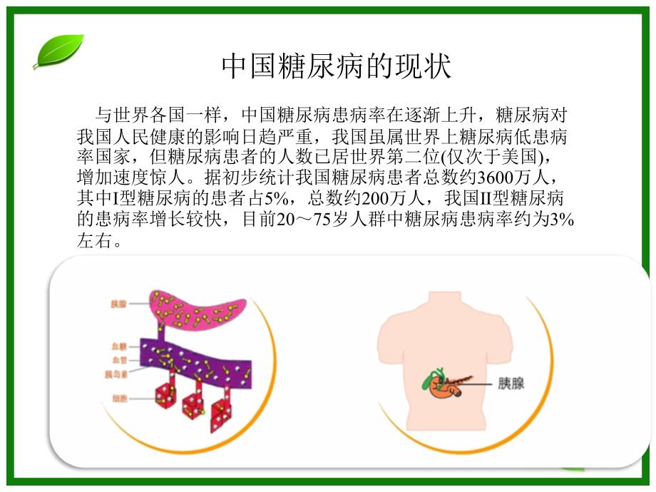 《糖尿病》实用教学课件_第3页